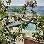Quinta Da Gandarela בית נופש Tarouca