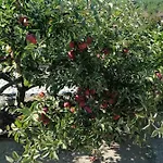 בית נופש Quinta Da Gandarela