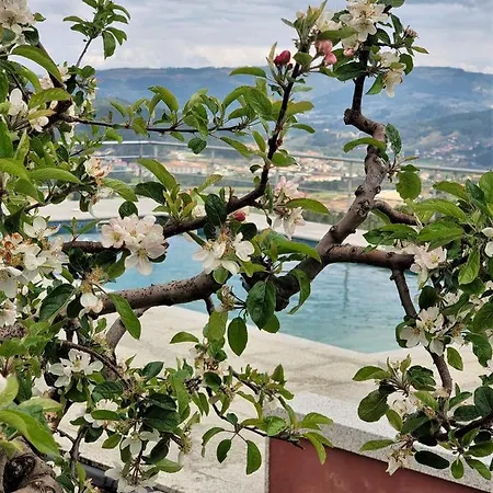 Quinta Da Gandarela Prázdninový dům Tarouca