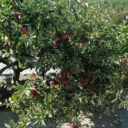 度假居 Quinta Da Gandarela