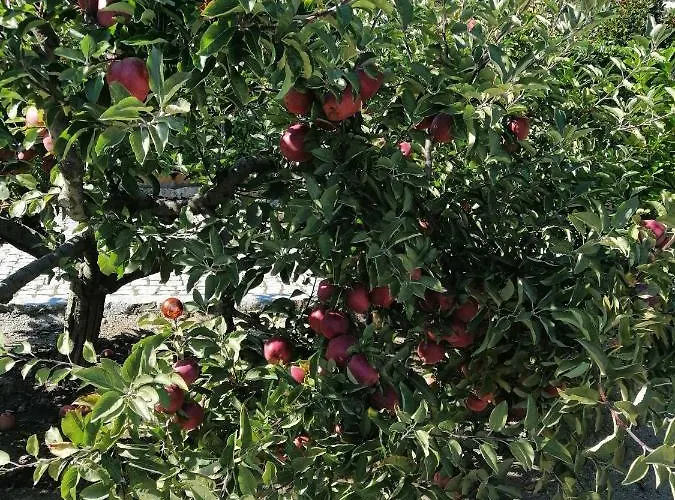 度假居 Quinta Da Gandarela